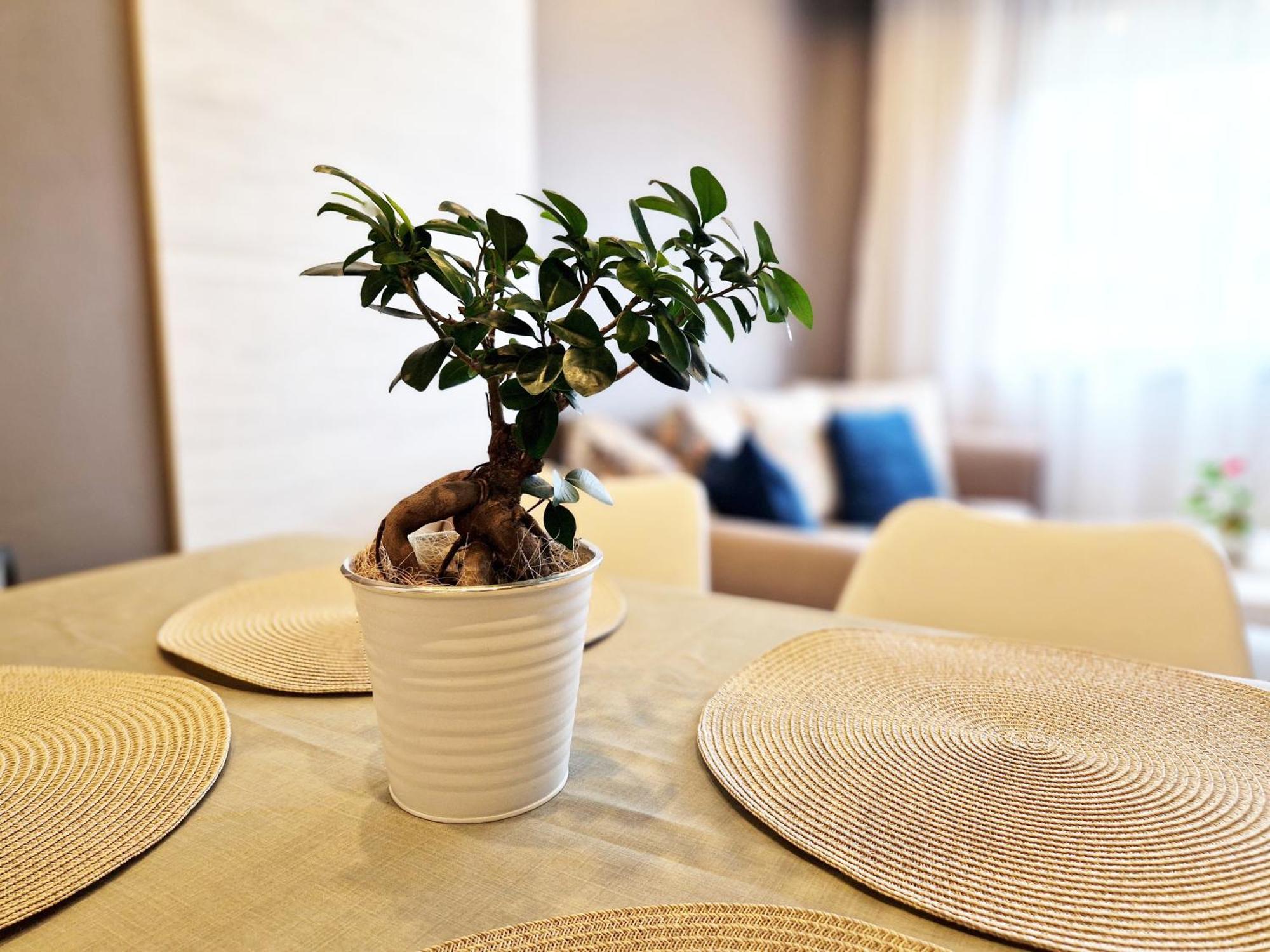 Central Apartment - Spacious Designer Property In Stara Zagora Eksteriør bilde